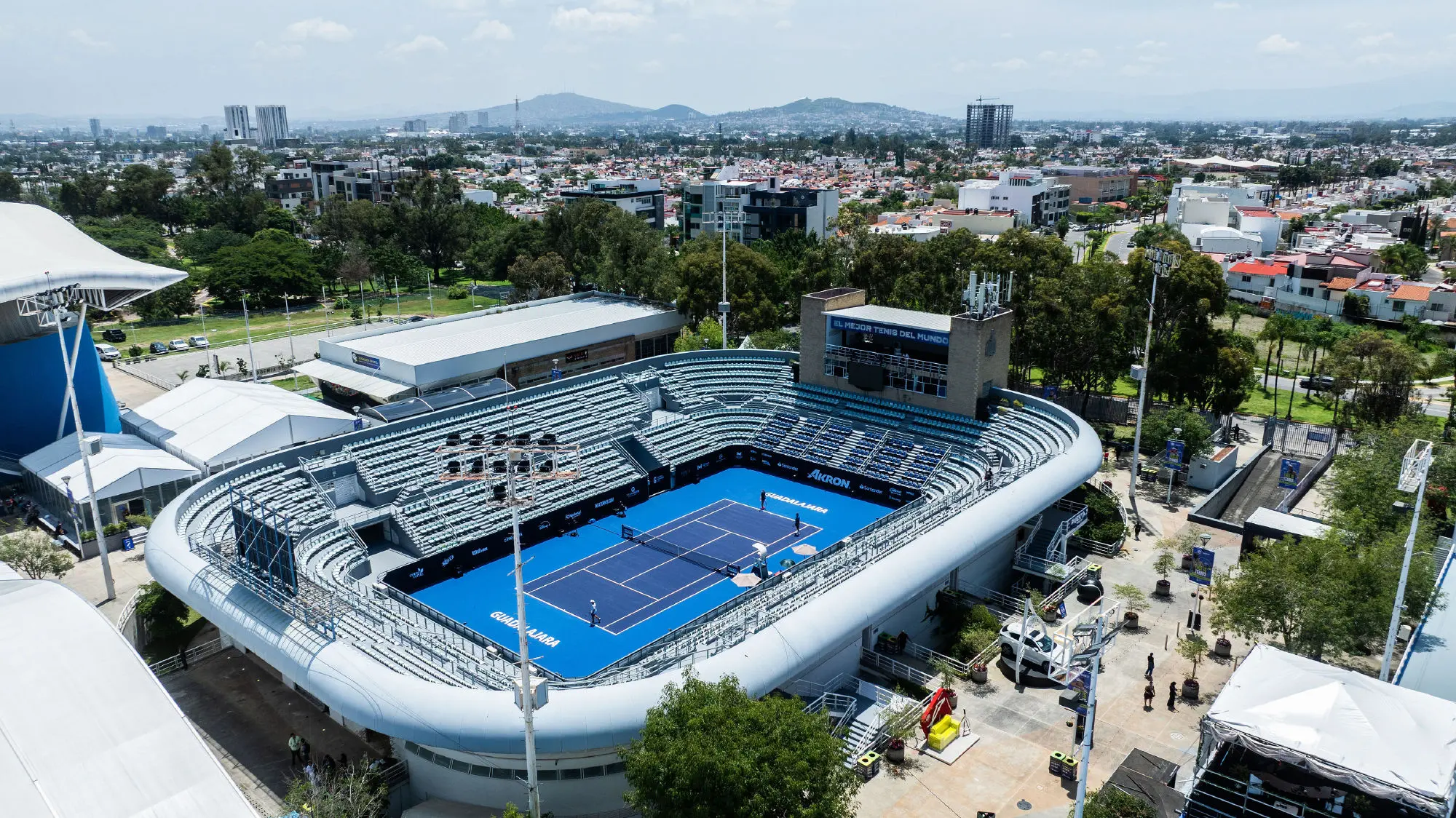 msn, img, entit msn, img, entit