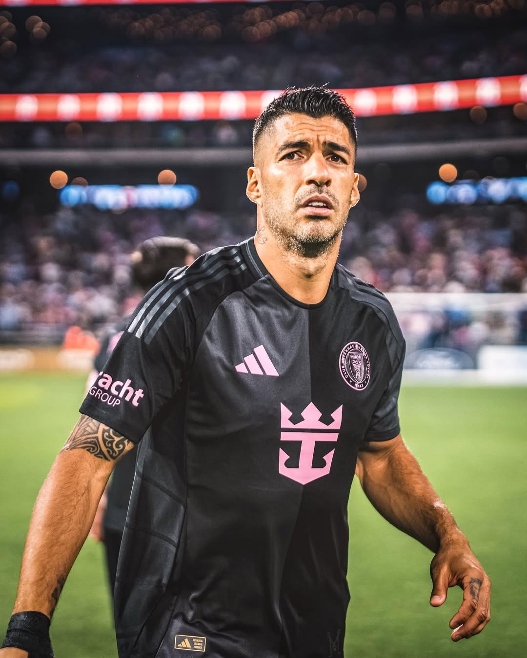 dd, ws, 他被北美联