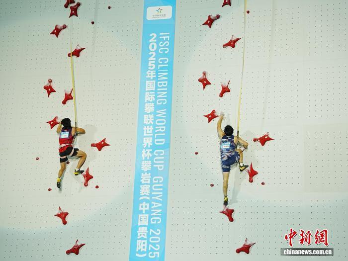 守宏和蒙世 守宏和蒙世