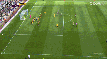 net, img, bg net, img, bg